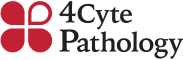 4Cyte Pathology